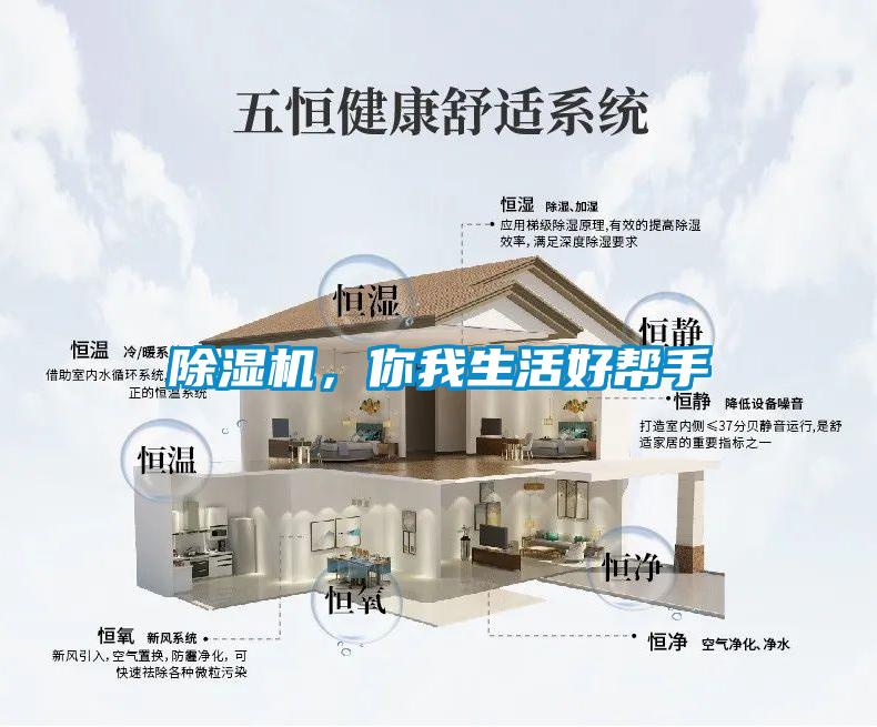 除濕機，你我生活好幫手