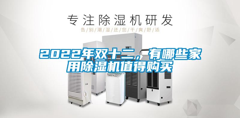 2022年雙十二，有哪些家用除濕機值得購買