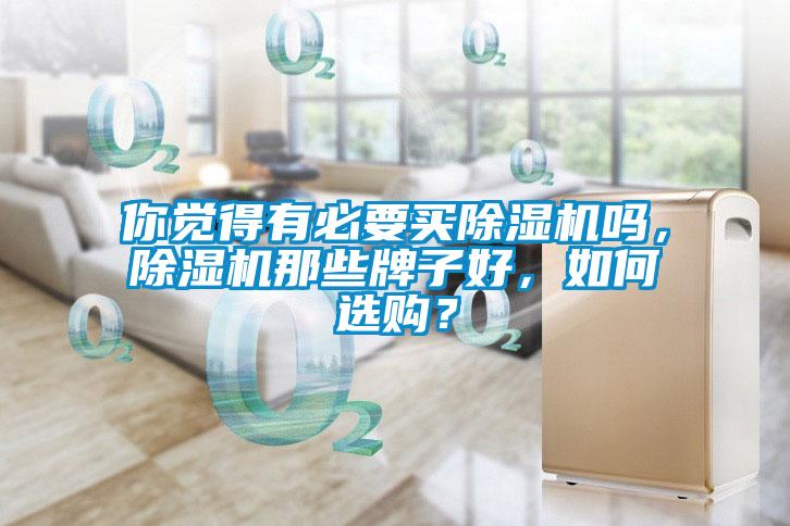你覺得有必要買除濕機嗎，除濕機那些牌子好，如何選購？