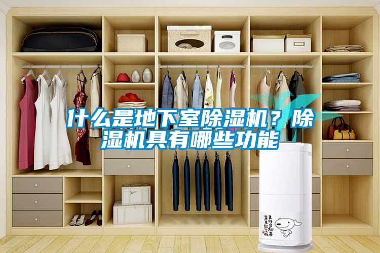什么是地下室除濕機？除濕機具有哪些功能
