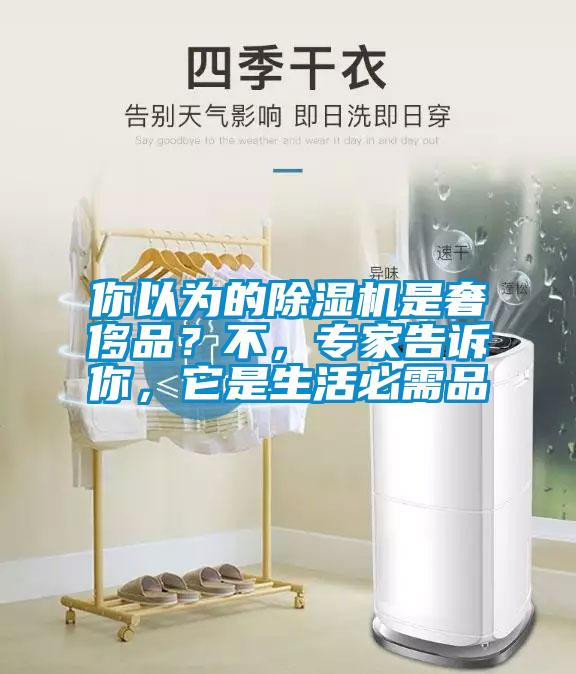 你以為的除濕機是奢侈品？不，專家告訴你，它是生活必需品