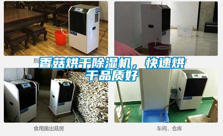 香菇烘干除濕機，快速烘干品質好