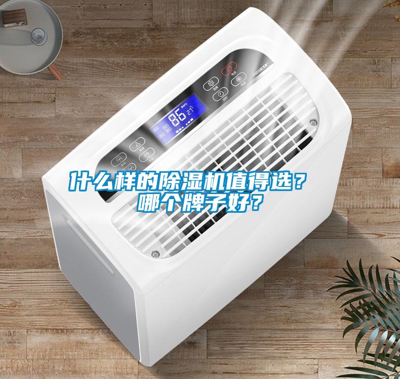 什么樣的除濕機值得選？ 哪個牌子好？