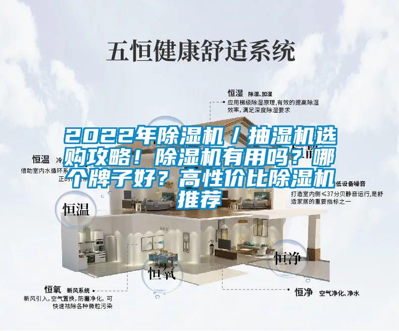2022年除濕機／抽濕機選購攻略！除濕機有用嗎？哪個牌子好？高性價比除濕機推薦