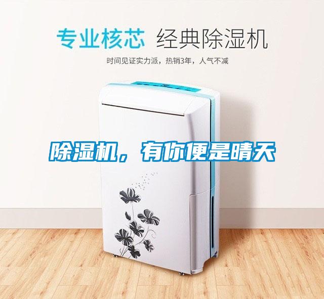 除濕機，有你便是晴天