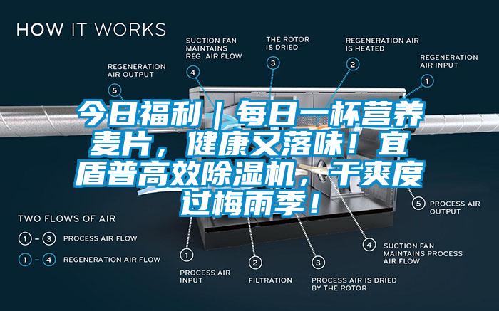 今日福利｜每日一杯營養麥片，健康又落味！宜盾普高效除濕機，干爽度過梅雨季！