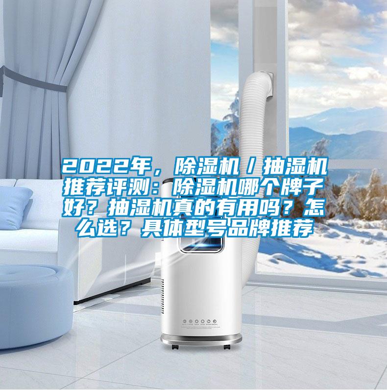 2022年，除濕機／抽濕機推薦評測：除濕機哪個牌子好？抽濕機真的有用嗎？怎么選？具體型號品牌推薦