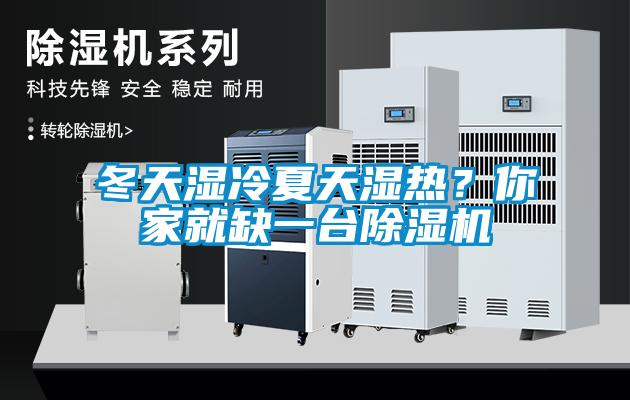 冬天濕冷夏天濕熱？你家就缺一臺除濕機