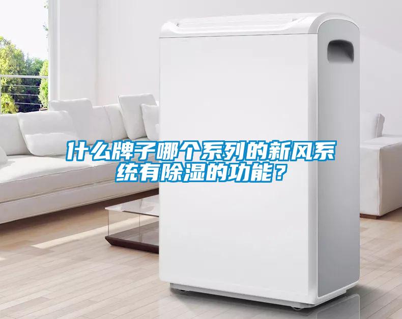 什么牌子哪個系列的新風系統有除濕的功能？