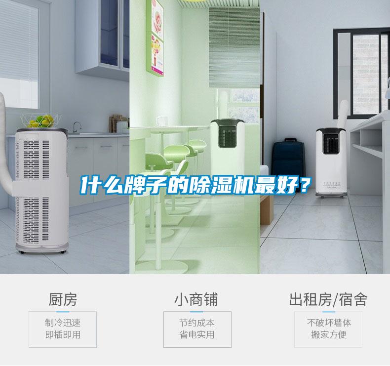 什么牌子的除濕機最好？