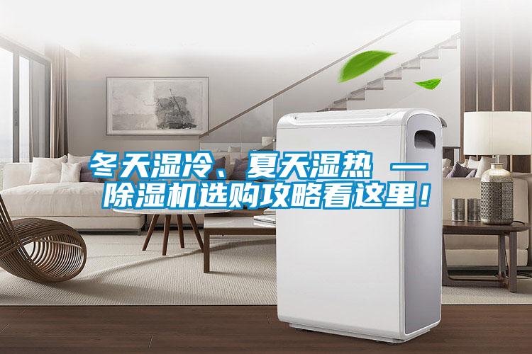 冬天濕冷、夏天濕熱 — 除濕機選購攻略看這里！