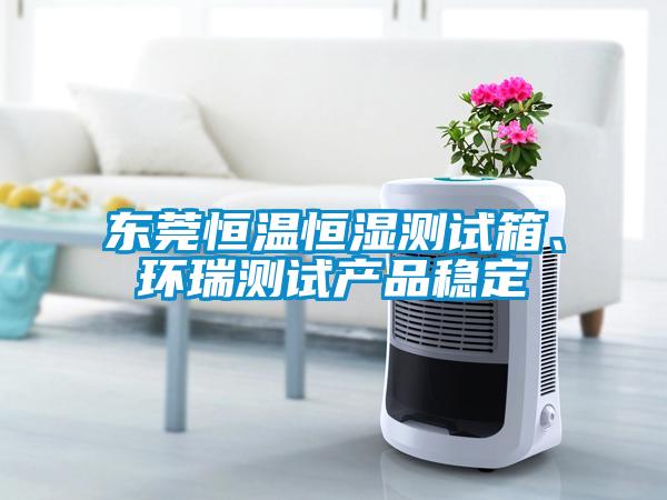 東莞恒溫恒濕測試箱、環瑞測試產品穩定
