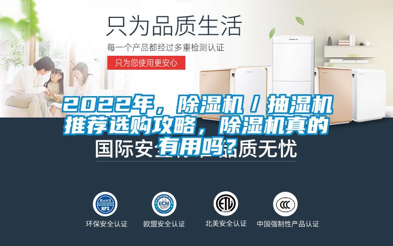 2022年，除濕機／抽濕機推薦選購攻略，除濕機真的有用嗎？