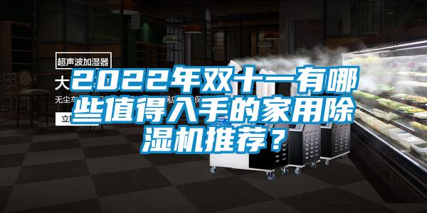2022年雙十一有哪些值得入手的家用除濕機推薦？