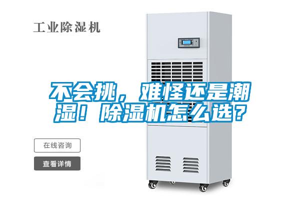 不會挑，難怪還是潮濕！除濕機怎么選？