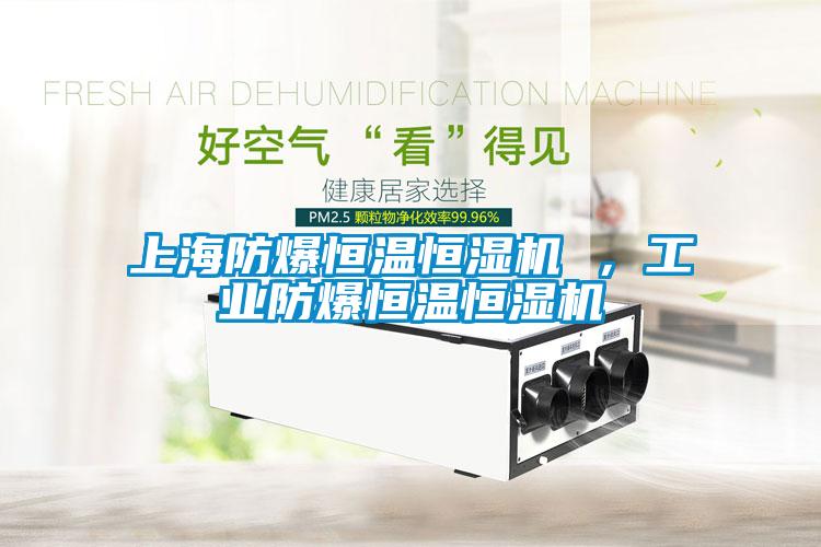 上海防爆恒溫恒濕機 ，工業防爆恒溫恒濕機