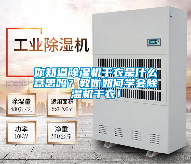 你知道除濕機干衣是什么意思嗎？教你如何學會除濕機干衣！