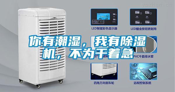 你有潮濕，我有除濕機，不為干著急