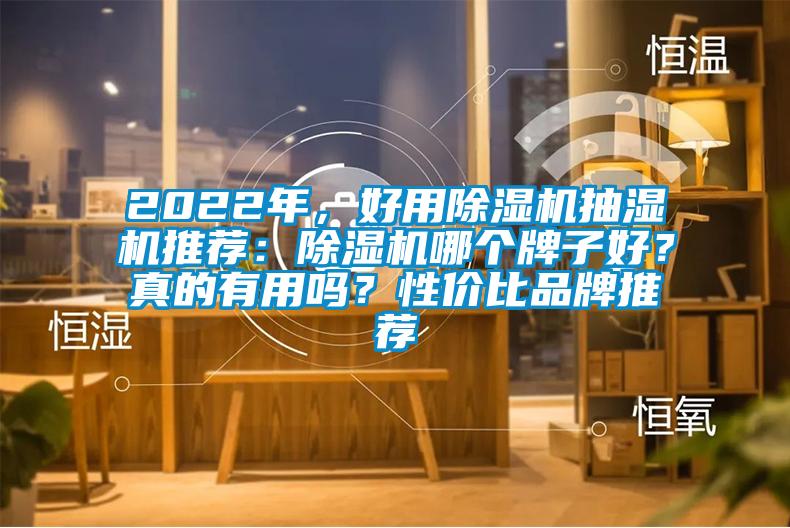 2022年，好用除濕機抽濕機推薦：除濕機哪個牌子好？真的有用嗎？性價比品牌推薦