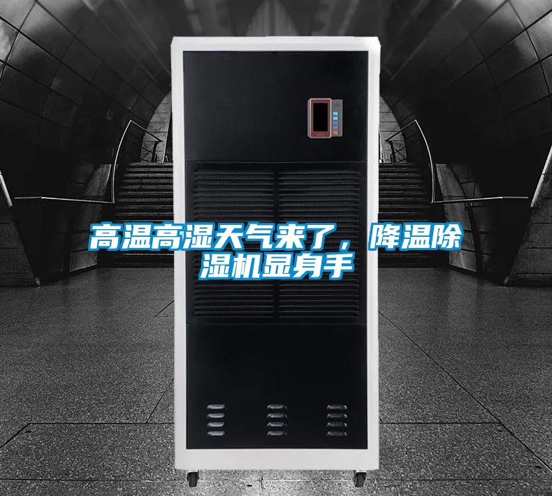 高溫高濕天氣來了，降溫除濕機顯身手