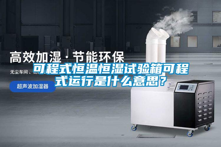 可程式恒溫恒濕試驗箱可程式運行是什么意思？