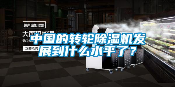 中國的轉輪除濕機發展到什么水平了？