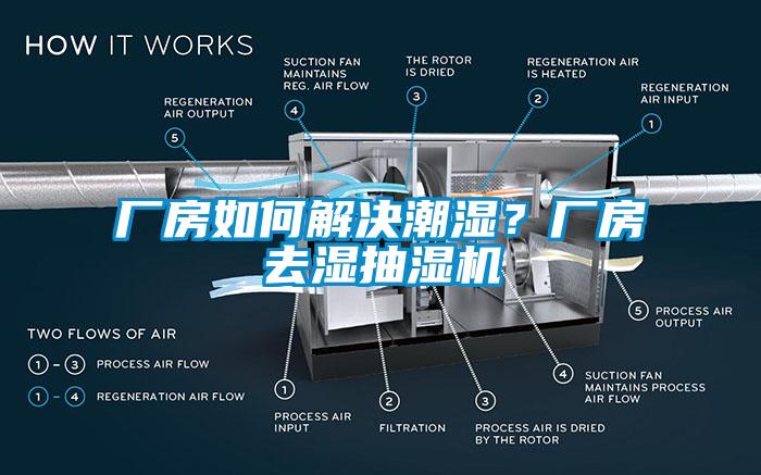 廠房如何解決潮濕？廠房去濕抽濕機
