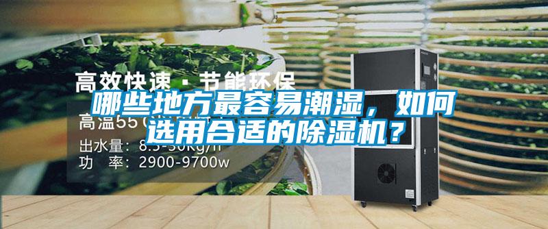 哪些地方最容易潮濕，如何選用合適的除濕機？