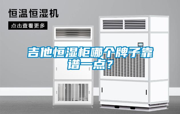 吉他恒濕柜哪個牌子靠譜一點？