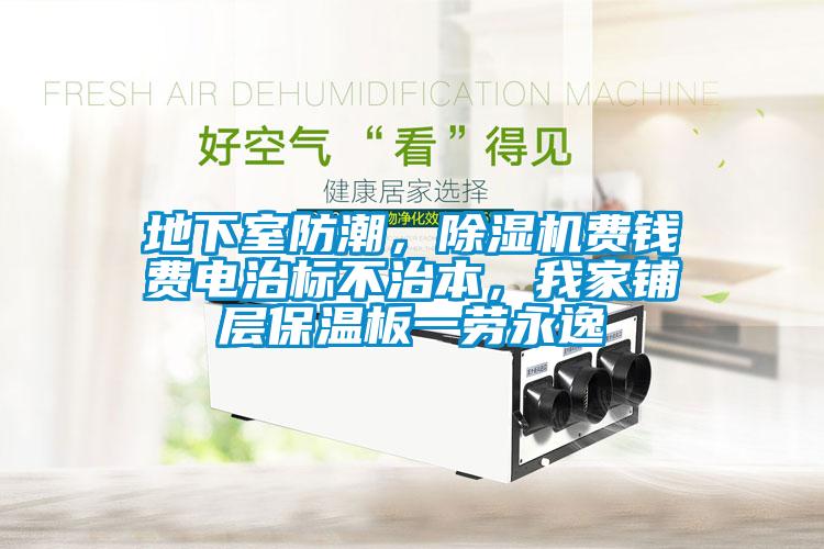地下室防潮，除濕機費錢費電治標不治本，我家鋪層保溫板一勞永逸