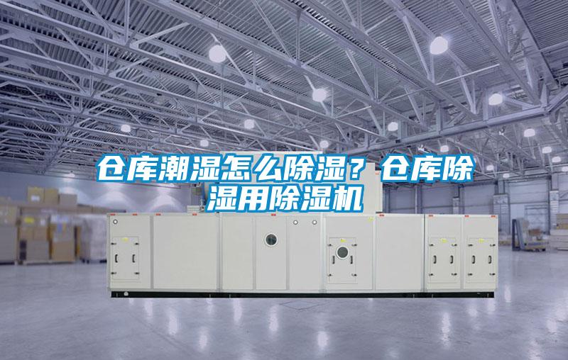 倉庫潮濕怎么除濕？倉庫除濕用除濕機