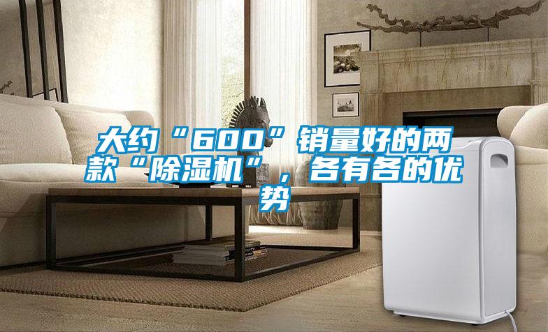 大約“600”銷量好的兩款“除濕機”，各有各的優勢