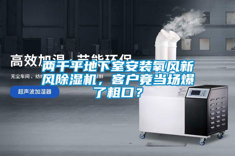 兩千平地下室安裝氧風新風除濕機，客戶竟當場爆了粗口？