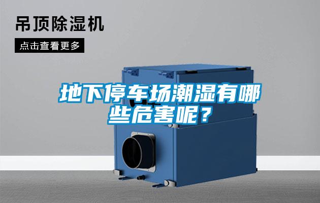 地下停車場潮濕有哪些危害呢？