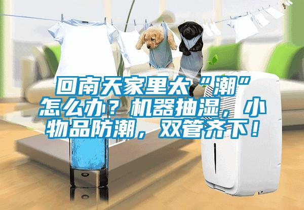 回南天家里太“潮”怎么辦？機器抽濕，小物品防潮，雙管齊下！