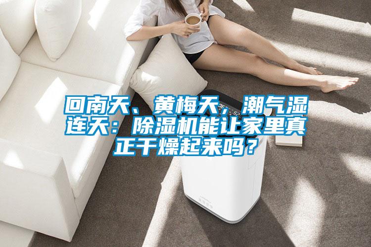 回南天、黃梅天，潮氣濕連天：除濕機能讓家里真正干燥起來嗎？