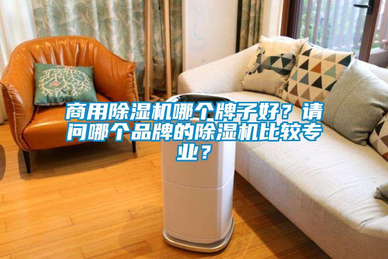 商用除濕機哪個牌子好？請問哪個品牌的除濕機比較專業？