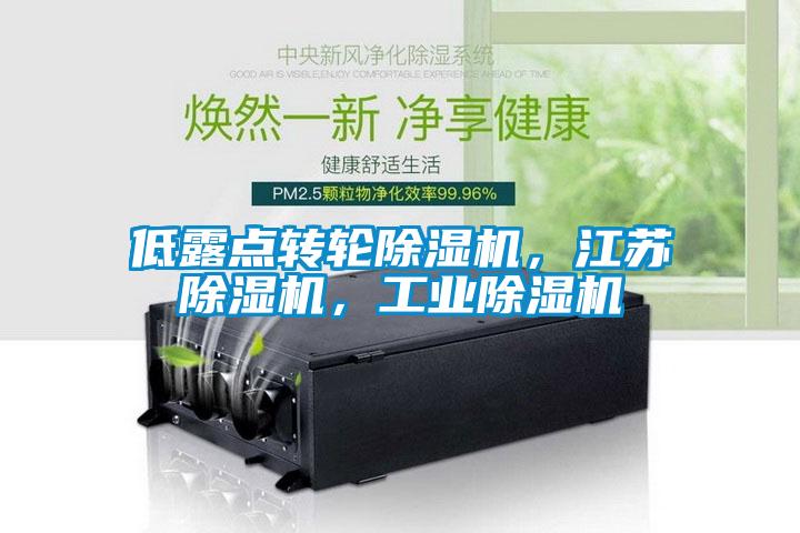 低露點轉輪除濕機，江蘇除濕機，工業除濕機