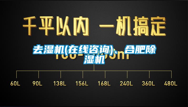 去濕機(在線咨詢)、合肥除濕機