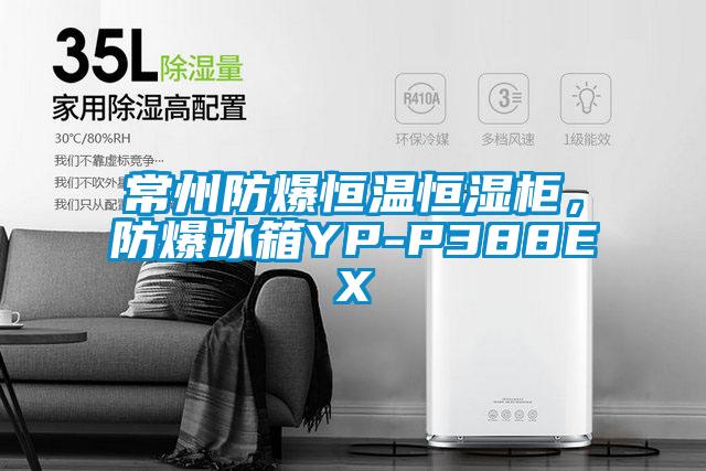常州防爆恒溫恒濕柜，防爆冰箱YP-P388EX