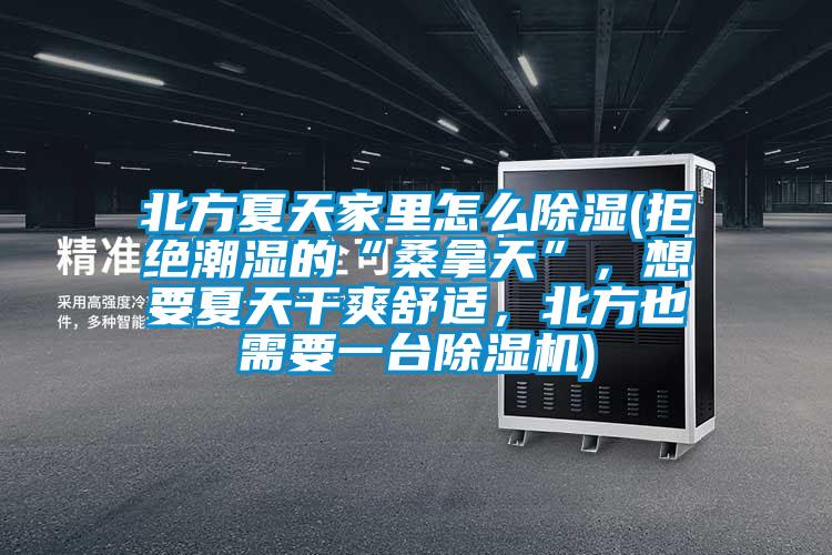 北方夏天家里怎么除濕(拒絕潮濕的“桑拿天”，想要夏天干爽舒適，北方也需要一臺除濕機)