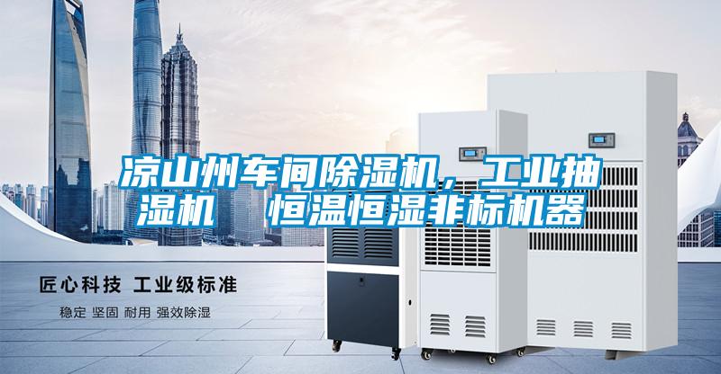 涼山州車間除濕機，工業抽濕機  恒溫恒濕非標機器