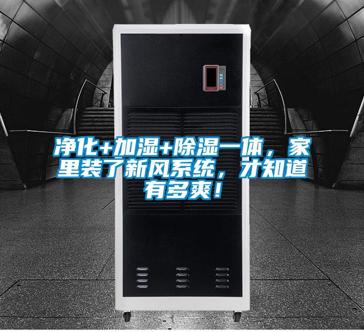 凈化+加濕+除濕一體，家里裝了新風系統，才知道有多爽！