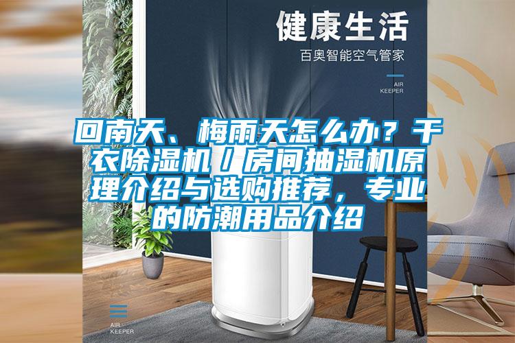 回南天、梅雨天怎么辦？干衣除濕機／房間抽濕機原理介紹與選購推薦，專業的防潮用品介紹