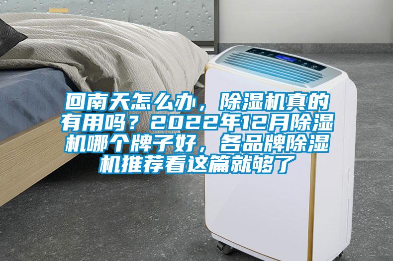 回南天怎么辦，除濕機真的有用嗎？2022年12月除濕機哪個牌子好，各品牌除濕機推薦看這篇就夠了