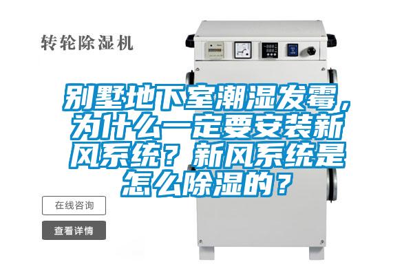 別墅地下室潮濕發霉，為什么一定要安裝新風系統？新風系統是怎么除濕的？