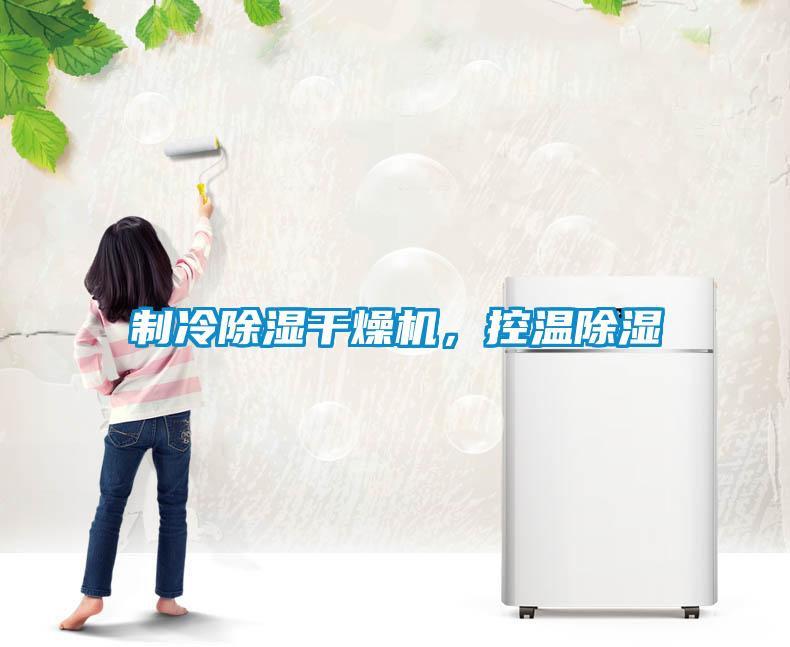 制冷除濕干燥機，控溫除濕