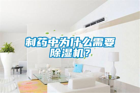 制藥中為什么需要除濕機？