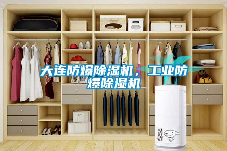 大連防爆除濕機，工業防爆除濕機
