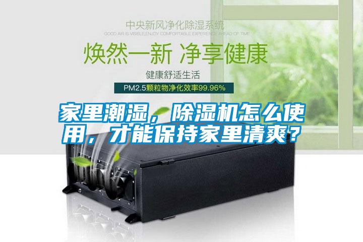 家里潮濕，除濕機怎么使用，才能保持家里清爽？